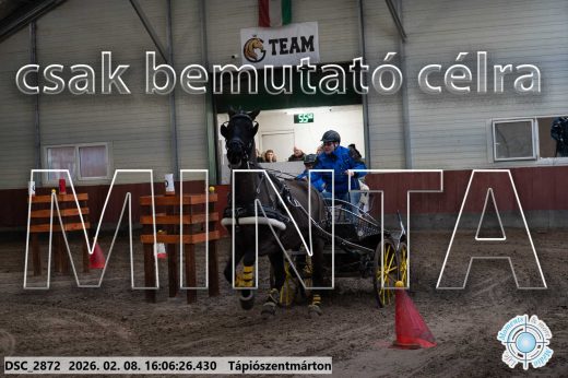 Mintakép 20260208-1794