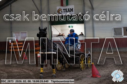 Mintakép 20260208-1795