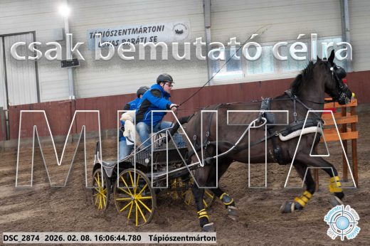 Mintakép 20260208-1796