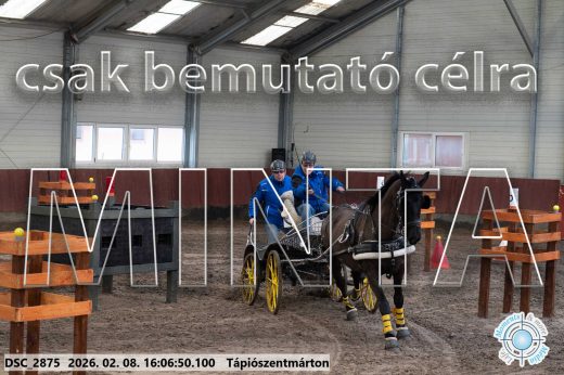Mintakép 20260208-1797