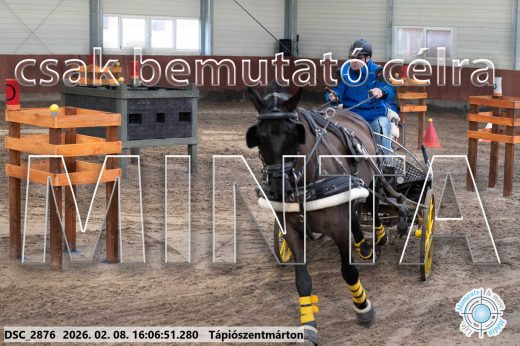 Mintakép 20260208-1798