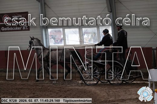 Mintakép 20260207-1068