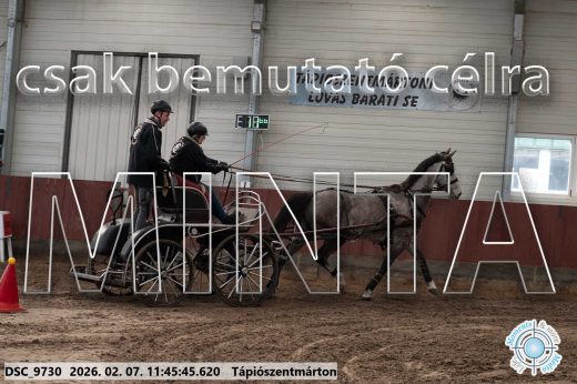 Mintakép 20260207-1070