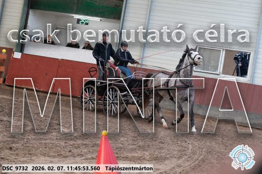 Mintakép 20260207-1072