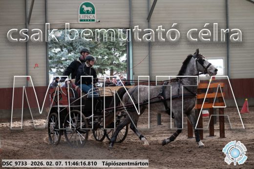 Mintakép 20260207-1073
