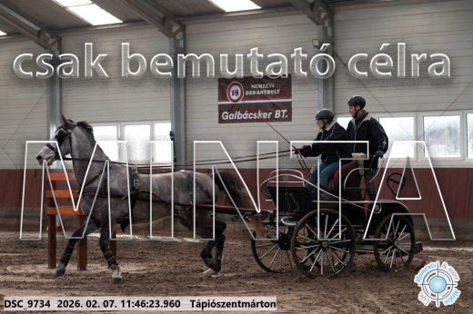 Mintakép 20260207-1074