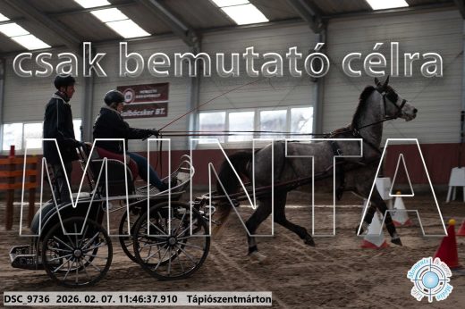 Mintakép 20260207-1076