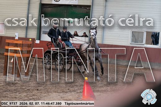Mintakép 20260207-1077