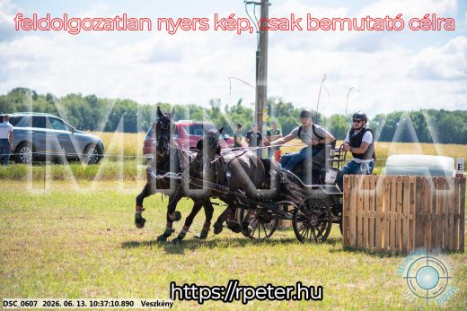 Mintakép 20260613-643