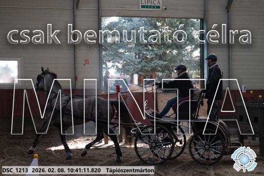 Mintakép 20260208-1807