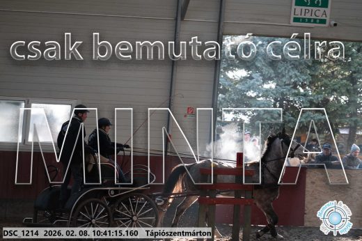 Mintakép 20260208-1808
