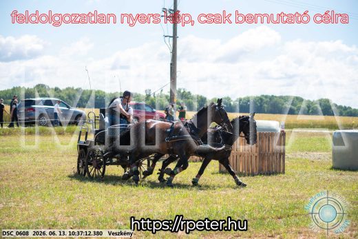 Mintakép 20260613-644