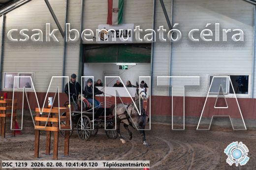 Mintakép 20260208-1812