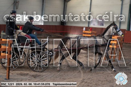 Mintakép 20260208-1813
