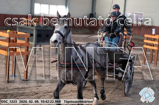 Mintakép 20260208-1814