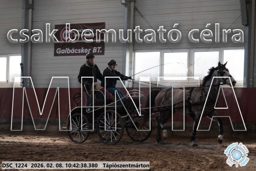 Mintakép 20260208-1815