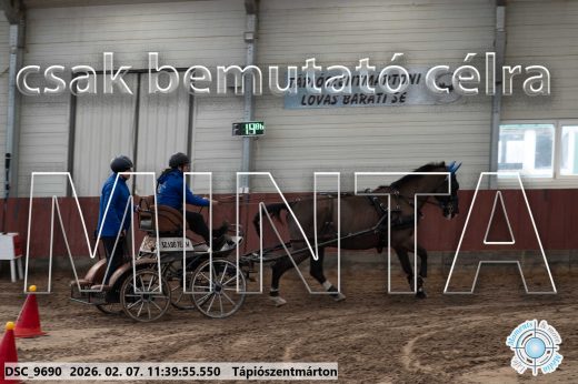 Mintakép 20260207-1081