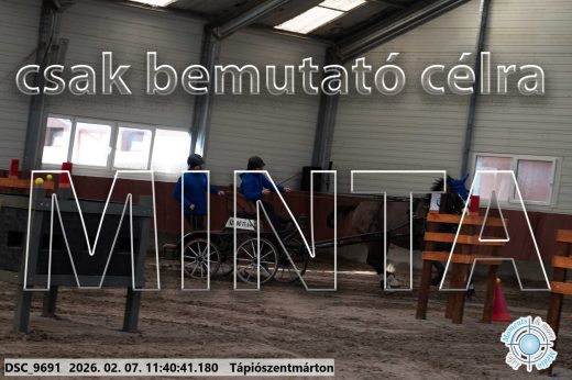Mintakép 20260207-1082