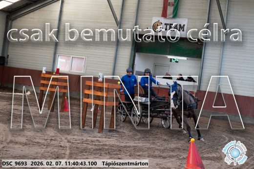 Mintakép 20260207-1084