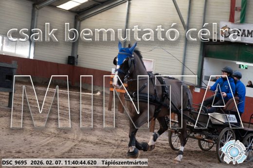 Mintakép 20260207-1086