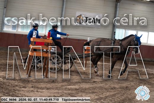 Mintakép 20260207-1087