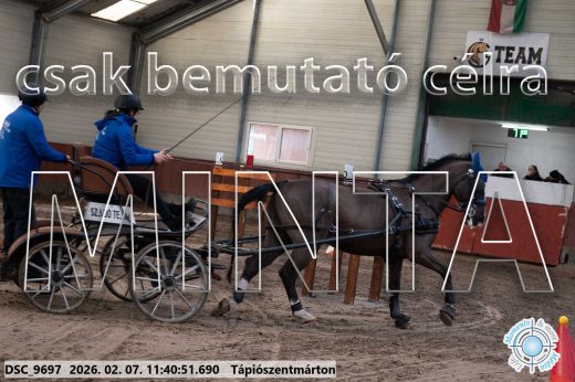 Mintakép 20260207-1088