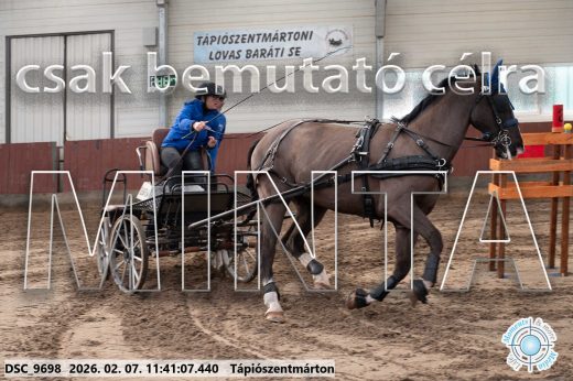 Mintakép 20260207-1089