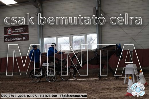 Mintakép 20260207-1092