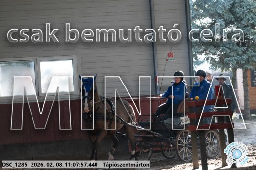 Mintakép 20260208-1818
