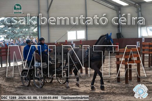 Mintakép 20260208-1821