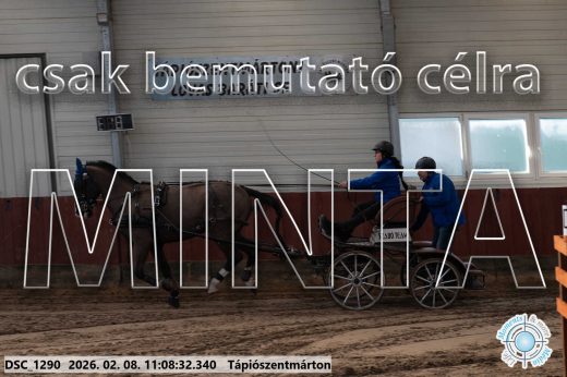 Mintakép 20260208-1822