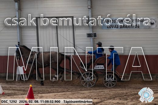 Mintakép 20260208-1824