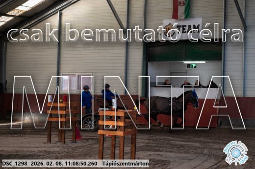 Mintakép 20260208-1829