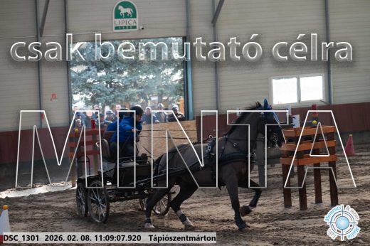Mintakép 20260208-1831