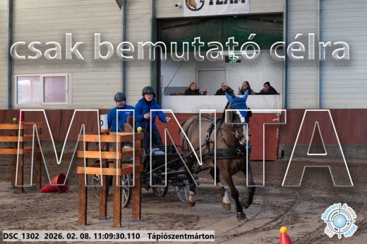 Mintakép 20260208-1832