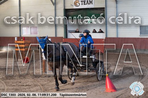 Mintakép 20260208-1833