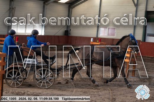 Mintakép 20260208-1834
