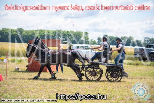 Mintakép 20260613-648