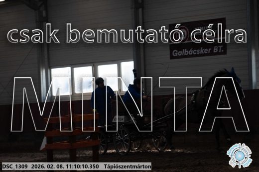 Mintakép 20260208-1838