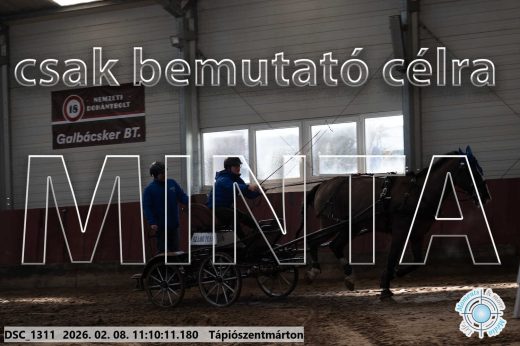 Mintakép 20260208-1840