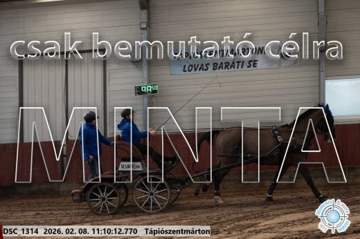 Mintakép 20260208-1841