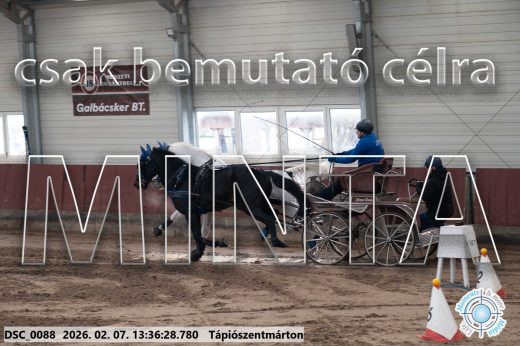 Mintakép 20260207-1098