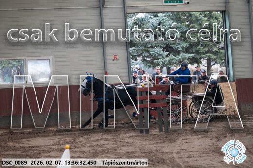 Mintakép 20260207-1099