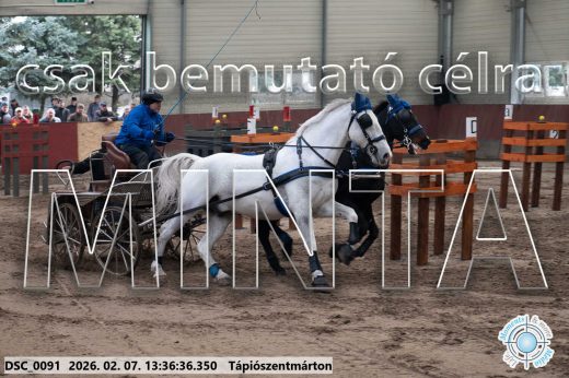 Mintakép 20260207-1101