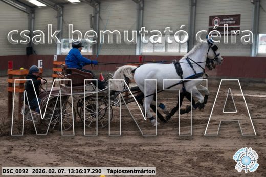 Mintakép 20260207-1102