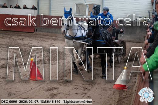 Mintakép 20260207-1105