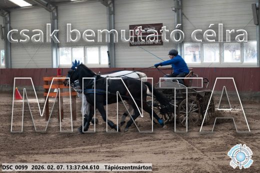 Mintakép 20260207-1107