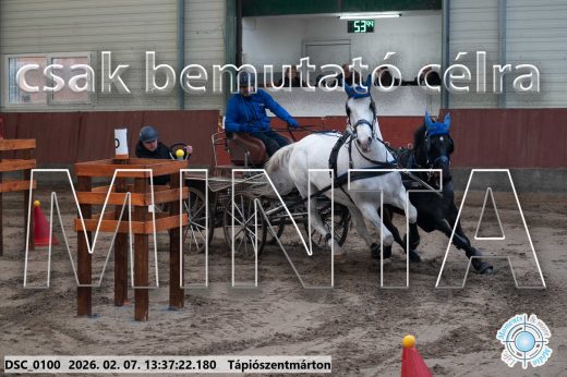 Mintakép 20260207-1108