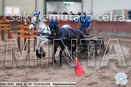 Mintakép 20260207-1109