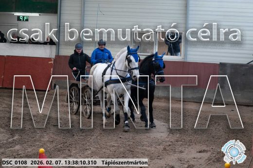Mintakép 20260207-1113